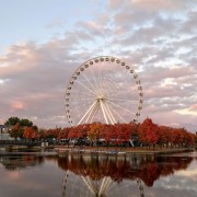 ferris wheel